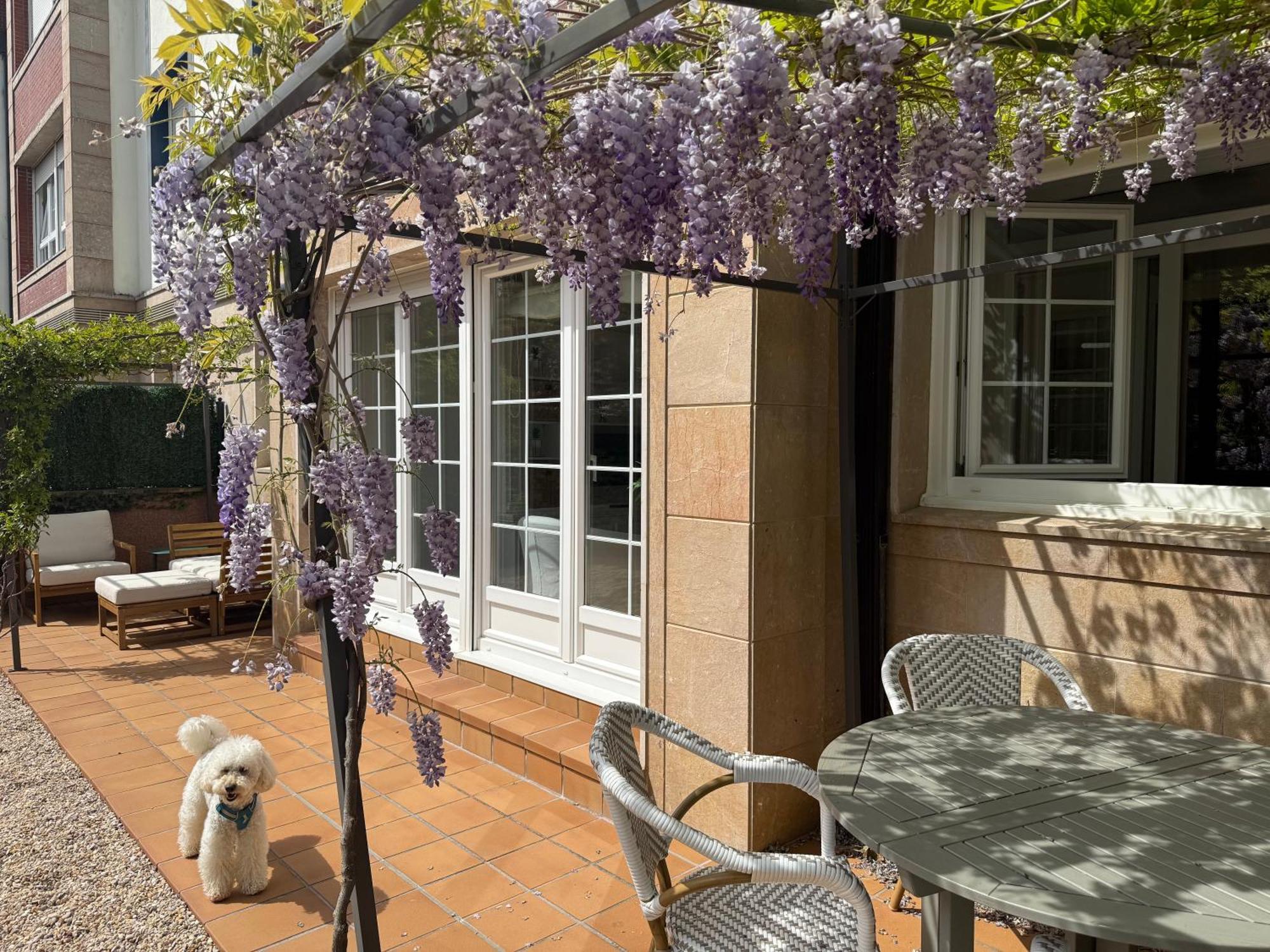 Bakea Apto Con Jardin Privado Бакио Екстериор снимка